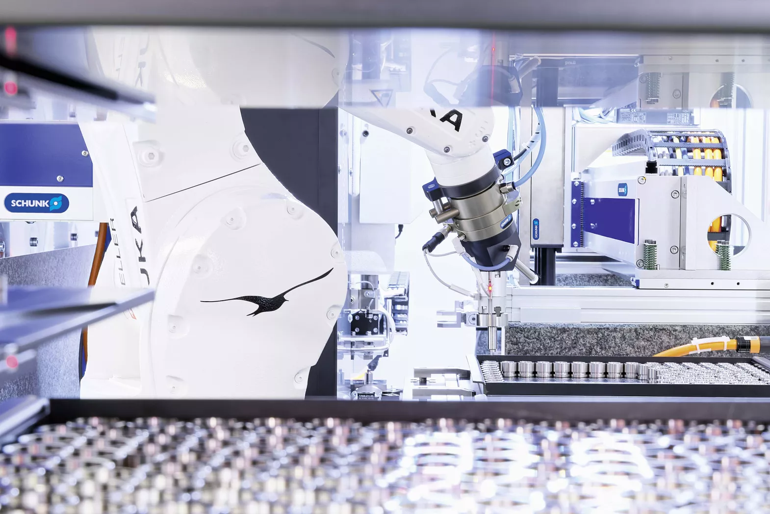 Membrankoerperhandling.jpg Membrankoerperhandling.jpg